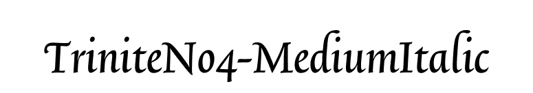 TriniteNo4-MediumItalic font preview