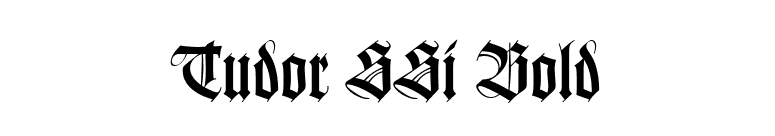Tudor SSi Bold font preview