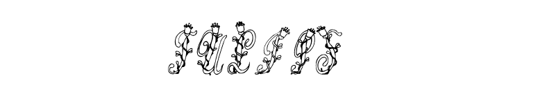 Tulips  font preview