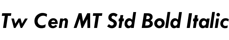 Tw Cen MT Std Bold Italic font preview