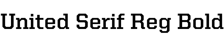 United Serif Reg Bold font preview