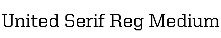United Serif Reg Medium font preview
