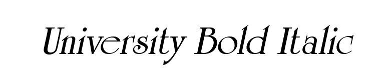 University Bold Italic font preview