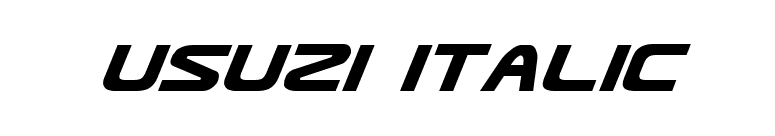 Usuzi Italic font preview