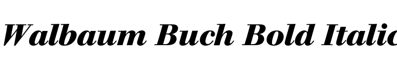 Walbaum Buch Bold Italic font preview