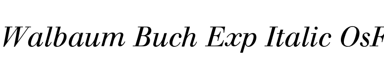 Walbaum Buch Exp Italic OsF font preview