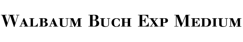 Walbaum Buch Exp Medium font preview
