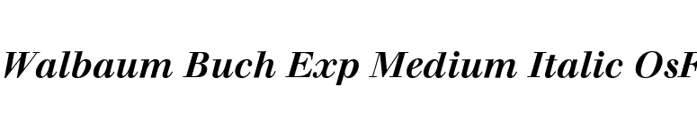 Walbaum Buch Exp Medium Italic OsF font preview