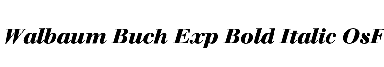Walbaum Buch Exp Bold Italic OsF font preview