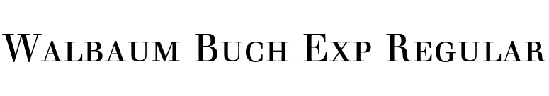 Walbaum Buch Exp Regular font preview