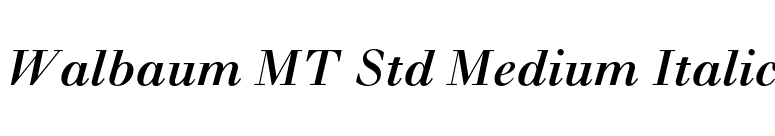 Walbaum MT Std Medium Italic font preview