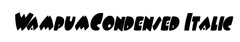 WampumCondensed Italic font preview