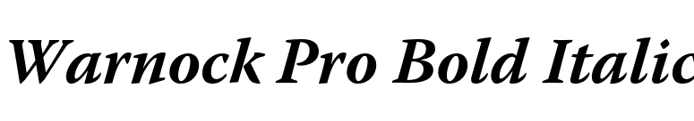 Warnock Pro Bold Italic font preview