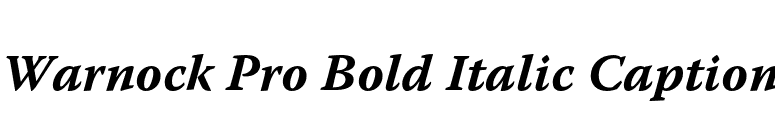 Warnock Pro Bold Italic Caption font preview