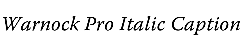 Warnock Pro Italic Caption font preview