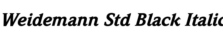 Weidemann Std Black Italic font preview