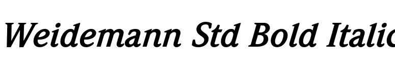 Weidemann Std Bold Italic font preview