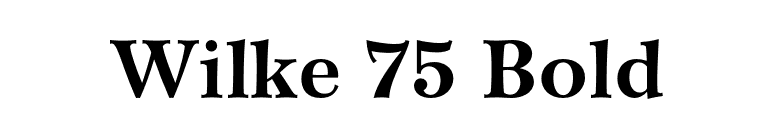 Wilke 75 Bold font preview