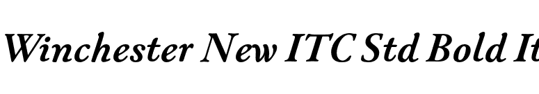 Winchester New ITC Std Bold It font preview