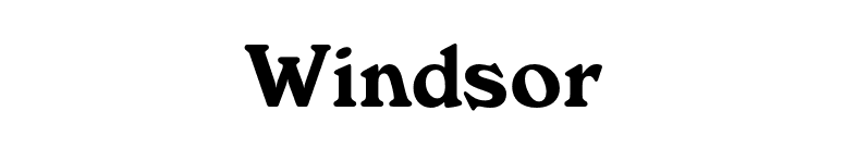 Windsor font preview