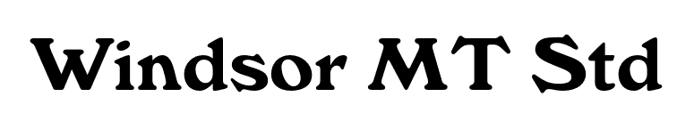 Windsor MT Std font preview