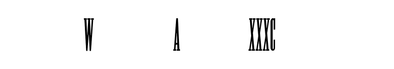 WoodtypeAntiqueXXXCond font preview