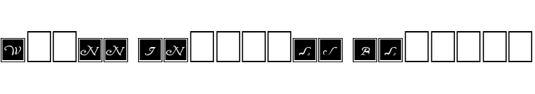 Wrenn Initials Blocked font preview