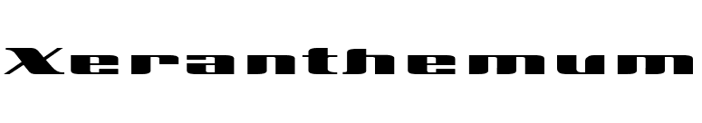 Xeranthemum font preview